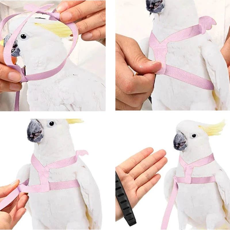 

Parrot Flying Harness Leash Suit Pet Bird Outdoor Flight Training Rope Cockatiel Supplies Macaw Accessories Stuff For Budgie