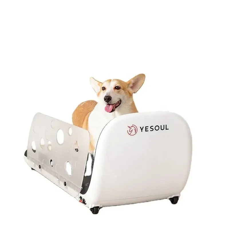 Pet Dog Treadmill Sports Running Machine Pet Treadmill Animal Electric Treadmill