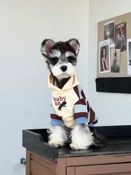 Hooded Sweatshirt for Small Dogs, Striped and Patchwork Design, Pet Clothes, Suitable for Autumn and Winter