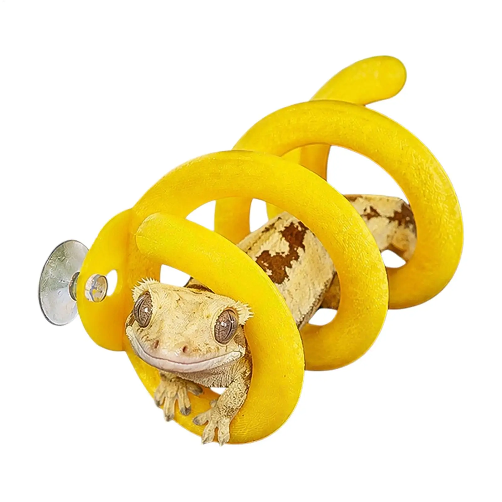 Reptile Spiral Climbing Branch Toy with Suction Cups Crawler Spiral Climbing Tree Branch Toy Container Accessories