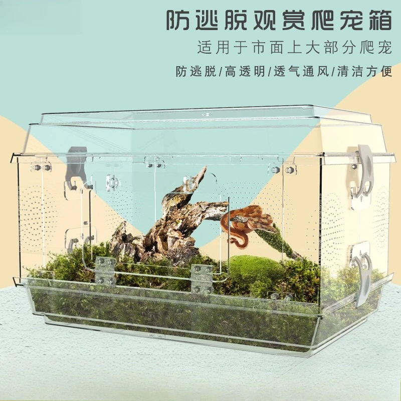 

Snake special box, crawler box, crawling pet ecological tank, turtle, scorpion, lizard landscaping, acrylic cage