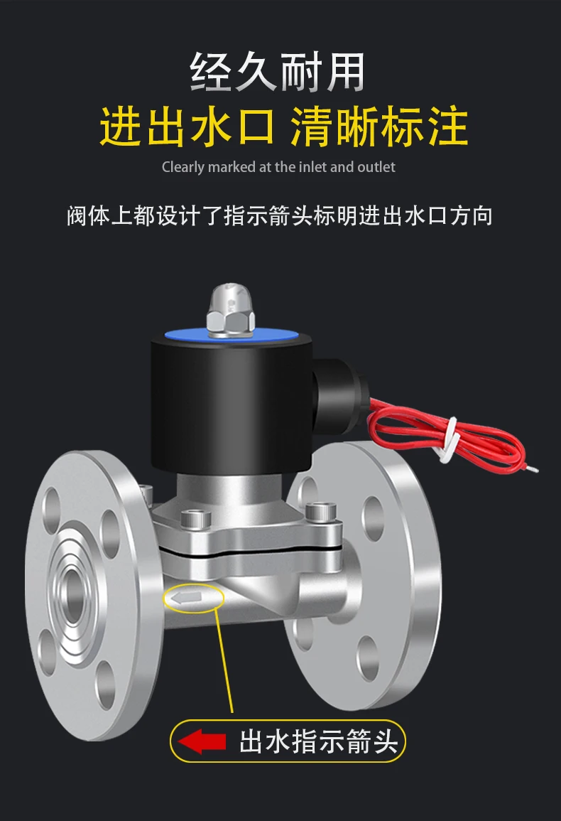 Magnetventil 304 stainless steel flanged solenoid valve normally closed water valve project DN40/50/65/80/100/PN1.0/1.6 Wasser und Dampf — Detail 4