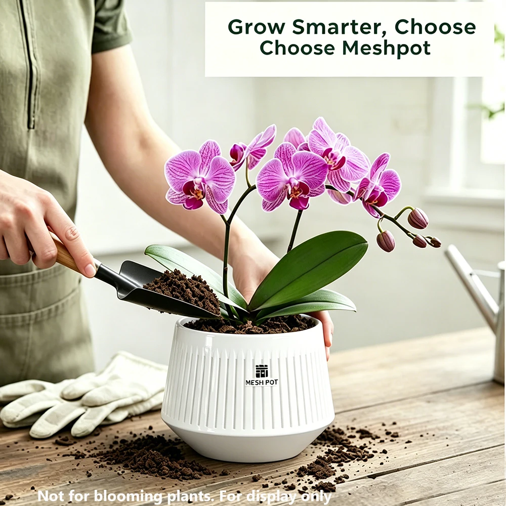 Meshpot Orchid Pots with Holes Flower Pot for Repotting Plastic Planter Indoor-Outdoor Plants Home Decorative air Plant Pot