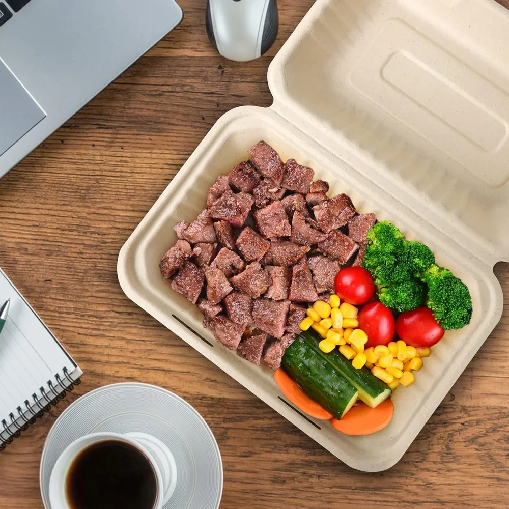 9 × 6 حاويات طعام صدفي يمكن التخلص منها للذهاب، صناديق قابلة للتحويل، حاويات طعام قابلة للتحلل البيولوجي #6