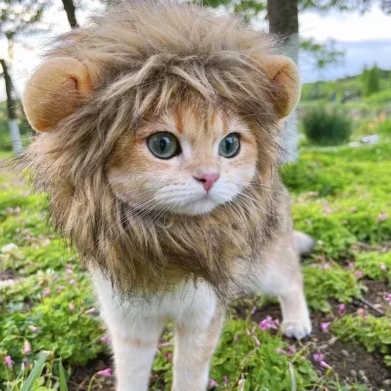 Cute Lion Mane Cat Wig Hat Pet Hat for Dogs Cats Kitten Cap 2025 Christmas Party Cosplay Costume Cat Accessories Photo Props