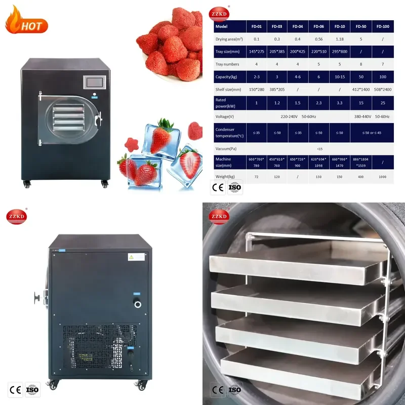 Recycling Machine 2026 3kg 4kg 6kg 10kg Fruit Liofilizador Machine Small Mini Laboratory Vacuum Home Food Drying Dryer