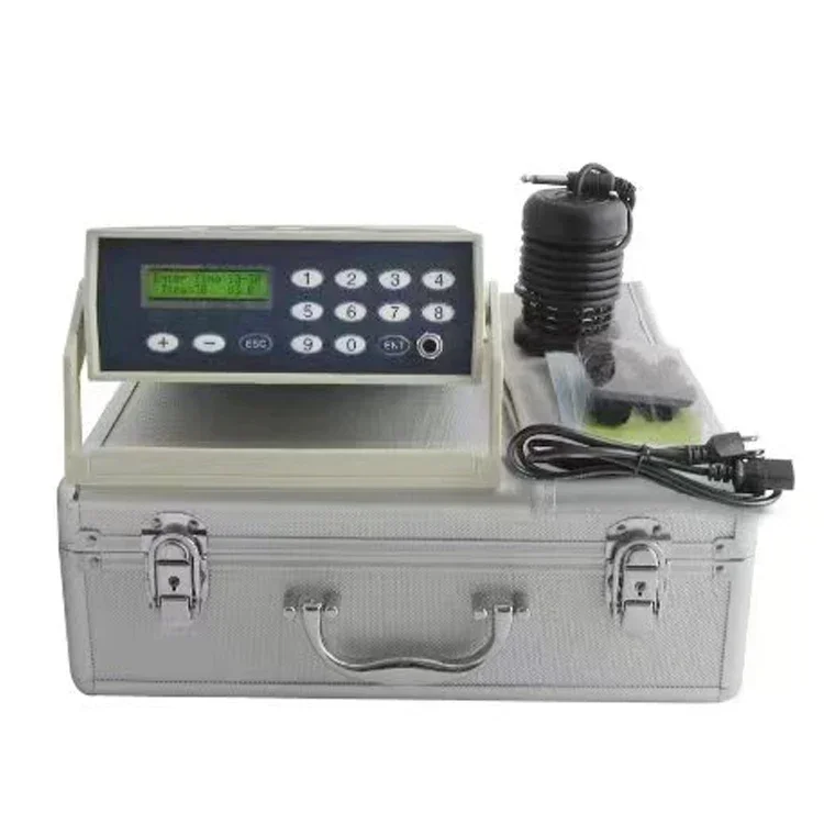 Großhandel Spa Foot Detox Ionic Machine Ion Cleanse