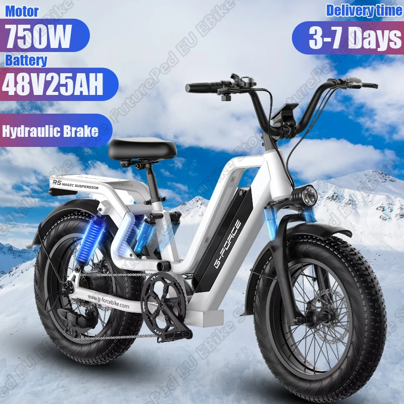 G-force Electric Bicycle 750W Powerful Motor 48V25AH Lithium Battery Aluminum Alloy Electric Bike 20*4.0-In Fat Tire Snow E-bike