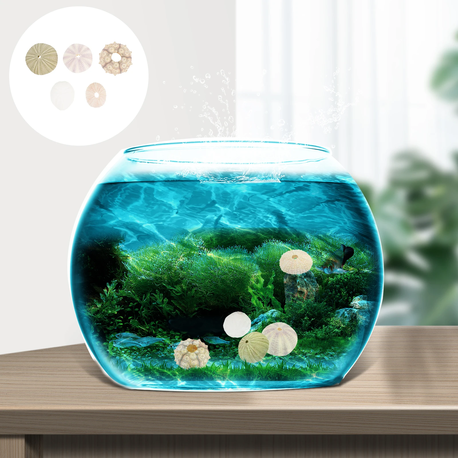 

5 Pcs Sea Shells Home Decoration DIY Fish Tank Accessories Aquarium Landscape Ornaments Safe Durable Shell Material