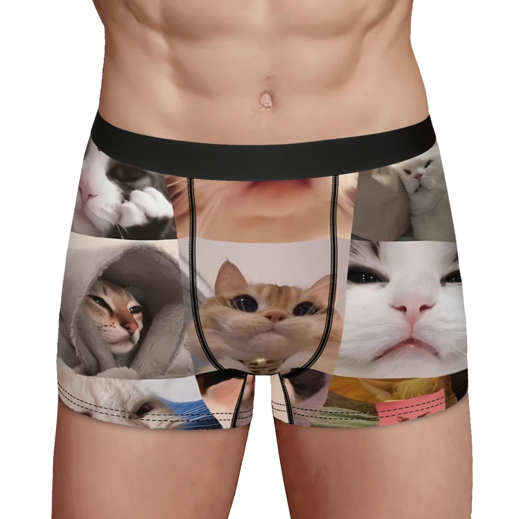 Cat Meme Funny Meme Cats Collection Underpants Homme Panties Man Underwear PrintShorts Boxer Briefs