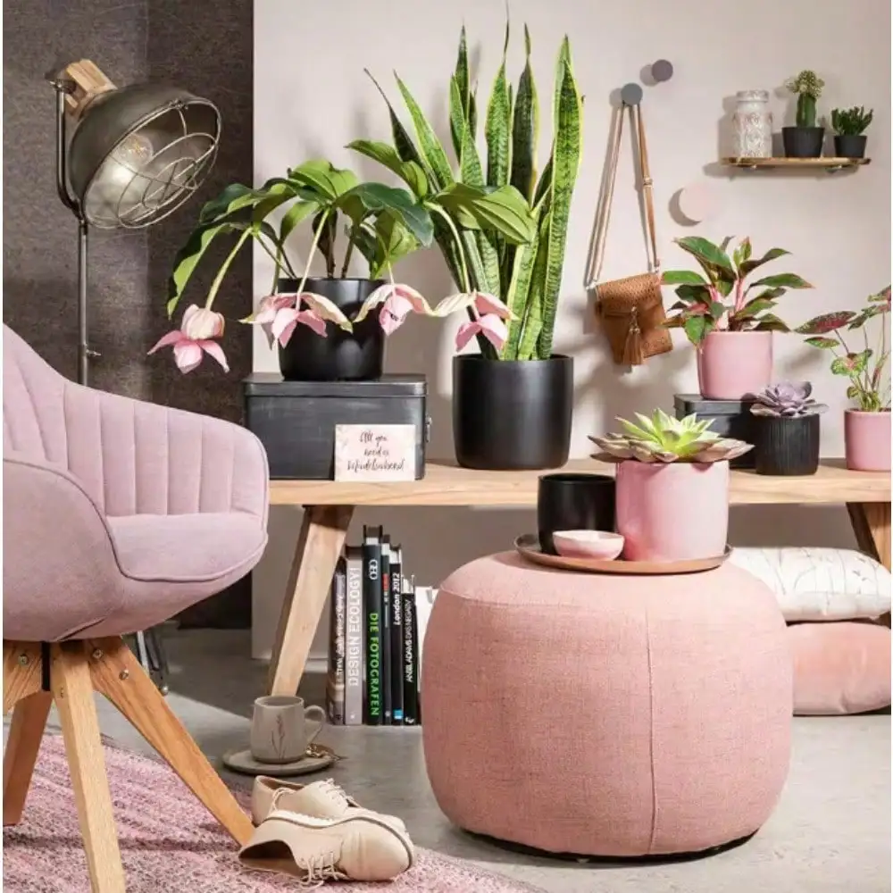 

5.1 in. (13CM) Dia./5 in. Tall Solido Ebano Black Ceramic Pot Twin Pack,Flower Plant Pot for Indoor Outdoor Herb Snake Plants