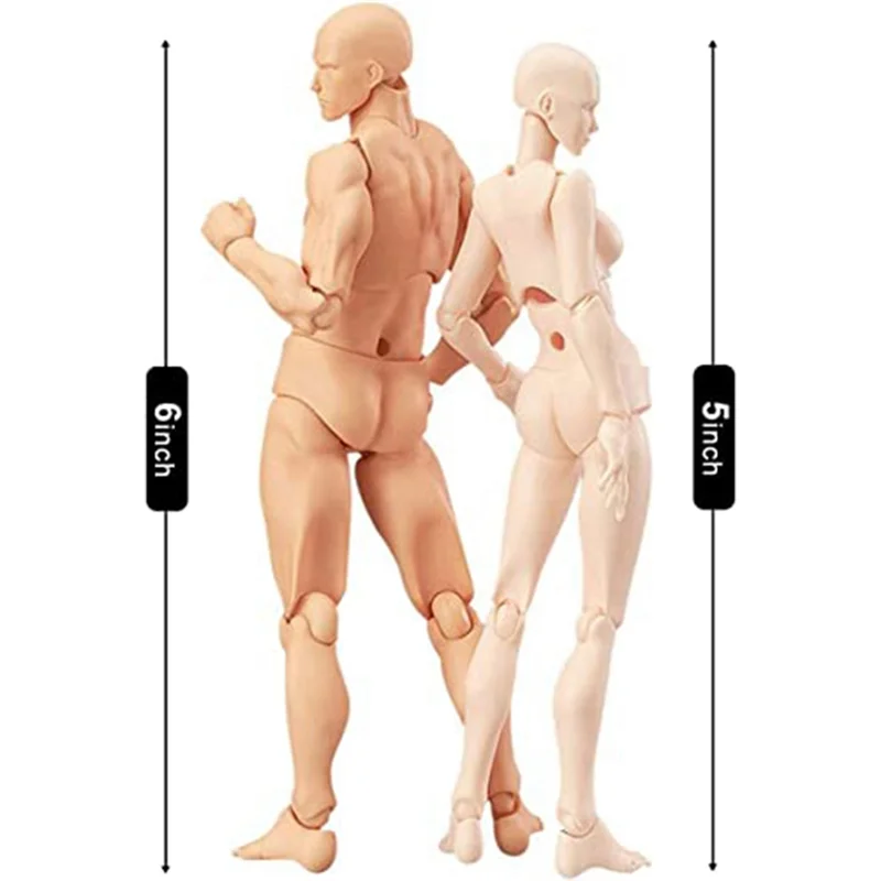 A52TBody Doll, Artists Manikin Blockhead Jointed Mannequin Drawing Figures Male+Female Set (Skin Color)