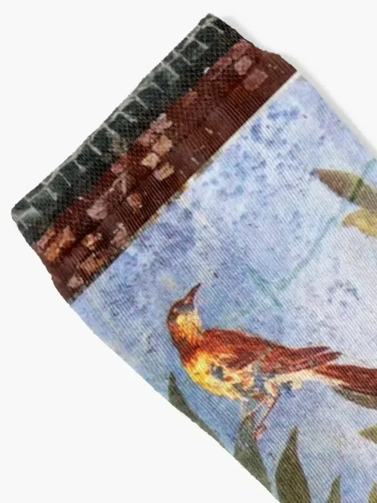 ANTIQUE ROMAN WALL PAINTING Flower Garden Flying Birds Over Quince Trees Socks sports stockings floor Socks Women Men's