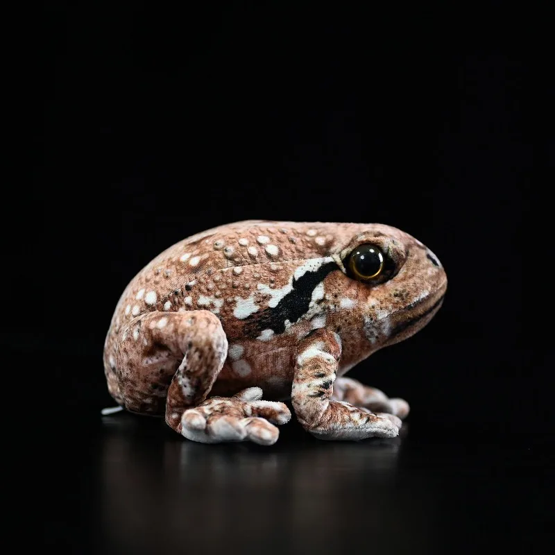 Realistic Toad Stuffed Animal Fluffy Common Toad Frog Plush Doll Soft Animal Toy Kawaii Common Toad Plush Doll