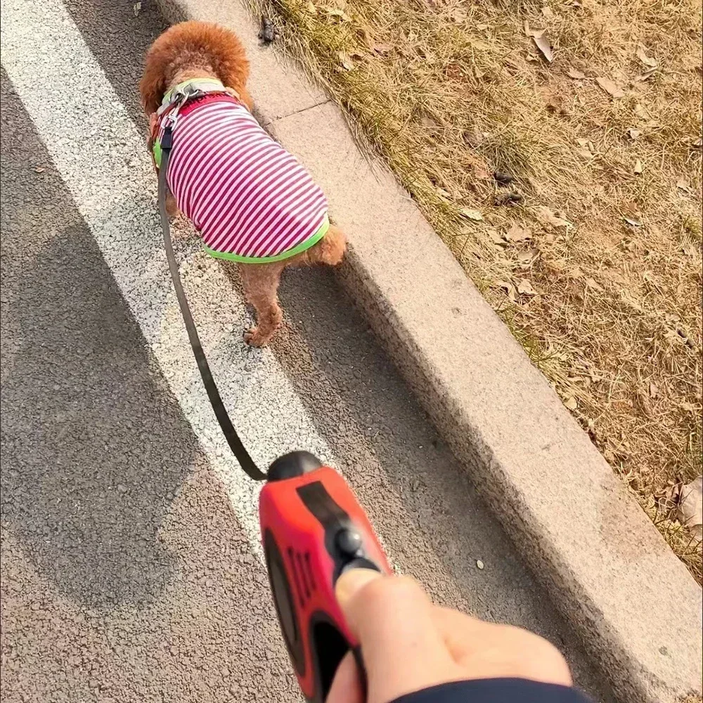 3m/5m Automatische Hundeleine für kleine Hunde und Katzen, ausziehbare Nylon-Führleine für Outdoor-Training, Welpen- und Yorkie-Zubehör – Detail 16