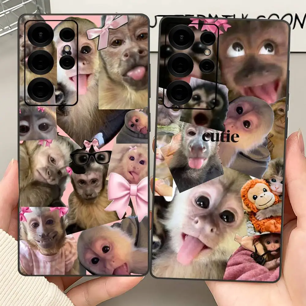Funny Monkey Phone Case For Samsung S 24 Fe 25 Ultra Plus 20 Lite 21 30 22 23 24 22 Ultra 5G Fundas