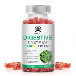 All Natural Digestive Enzyme Capsules 20 Enzyme Blend Prebiotics Supplement For Digestion and Gut Function Vegetarian Friendly
