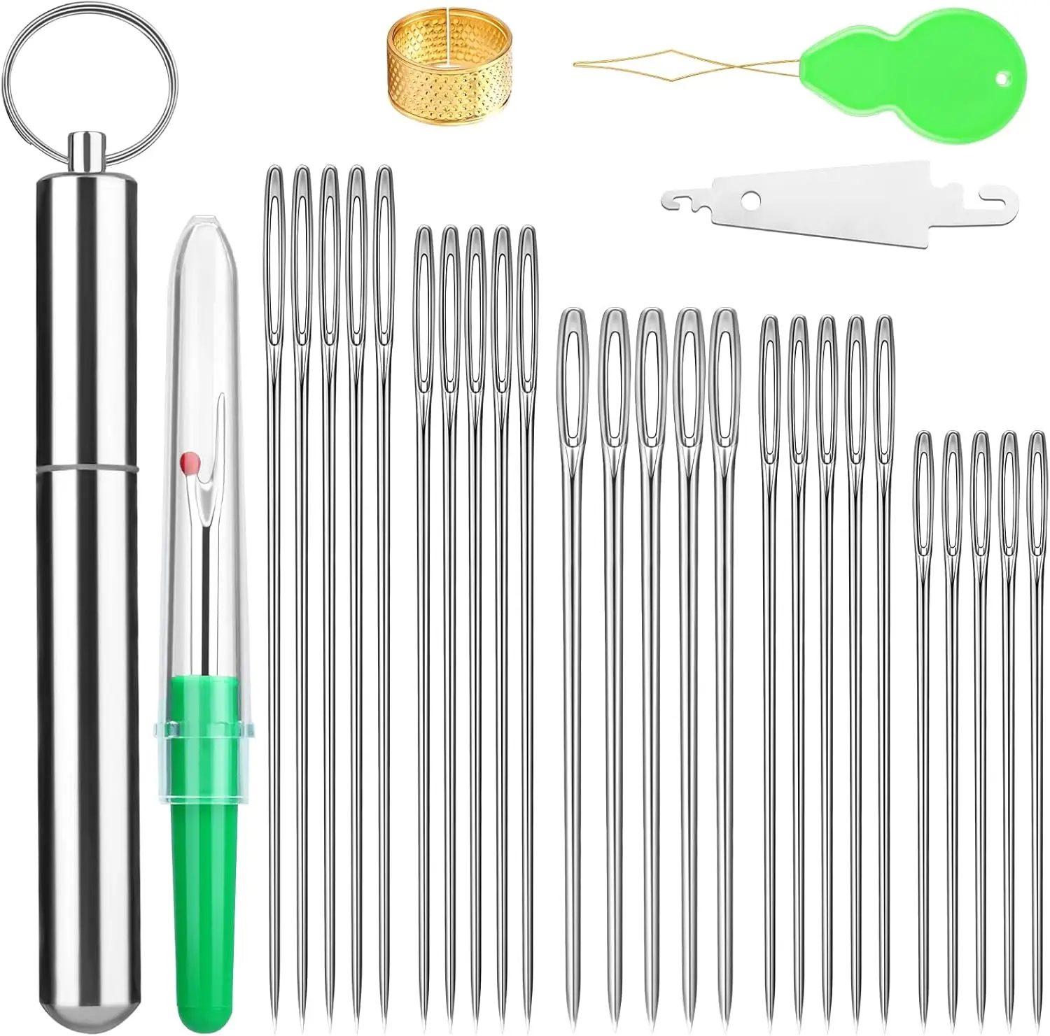 yZ[zIMAZY 25{ hJj 5TCY 傫Ȗ Dpsj A~[`[ut ʂt