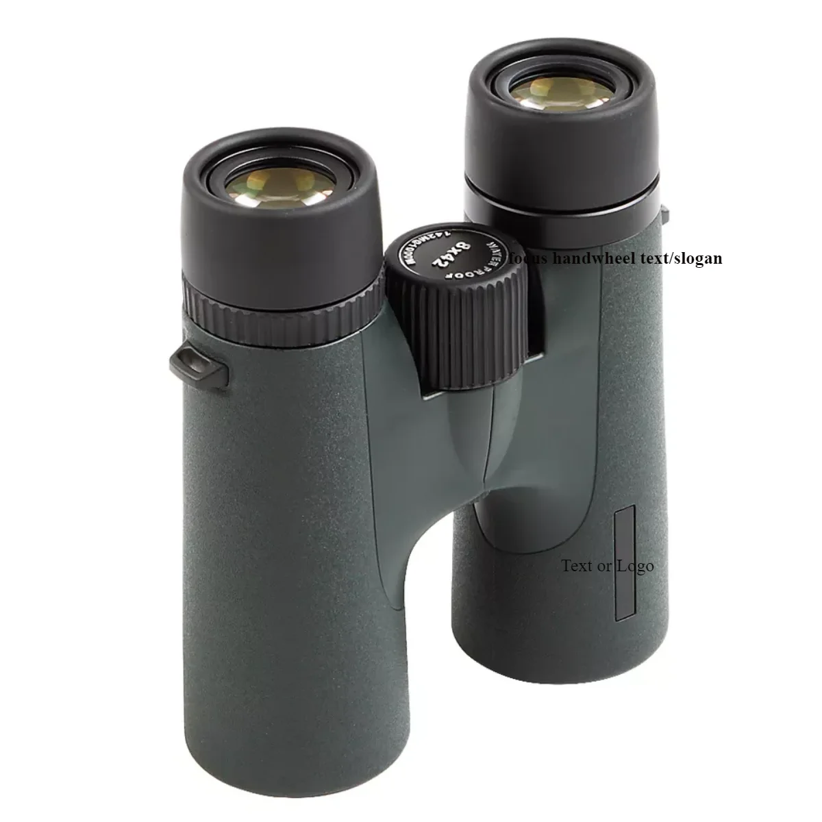 Outdoor Binocular 10x42 Waterproof Professional HD Lens Clear Images Video Camera for Hunting Hiking Traveling