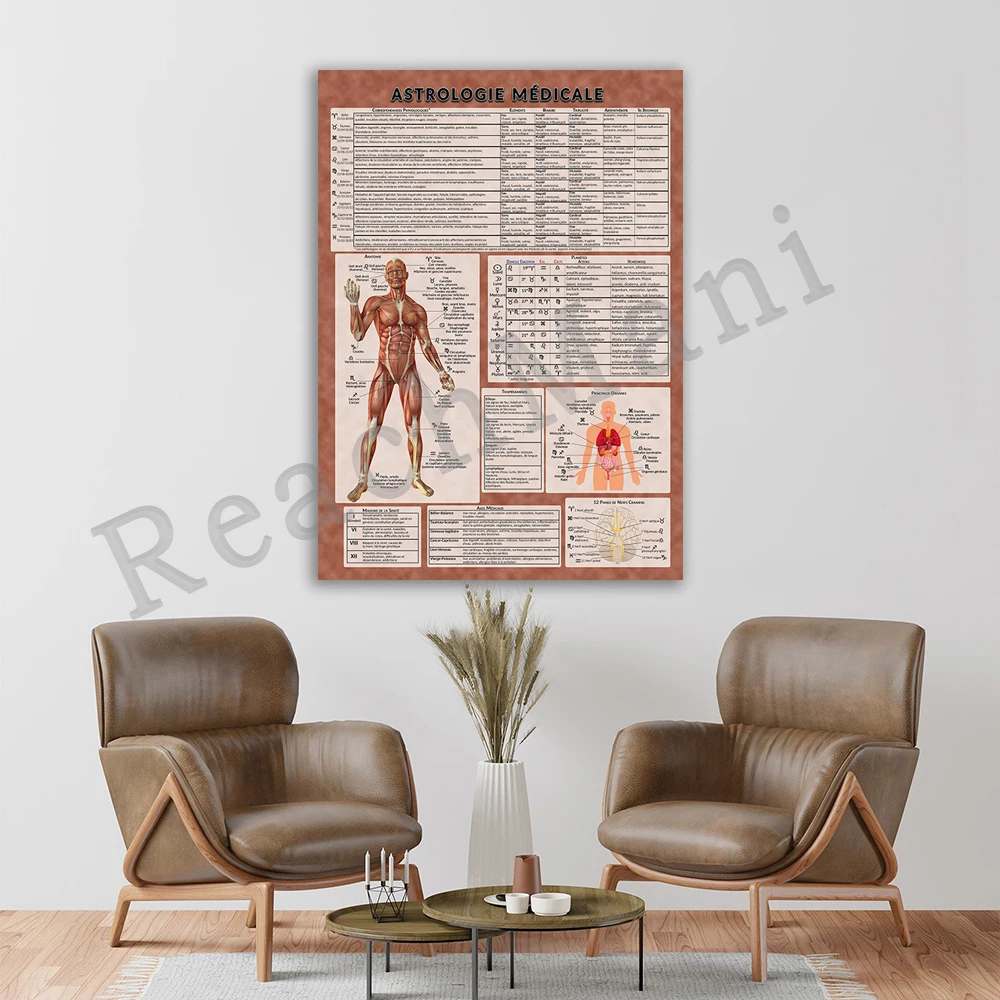 Medical Astrology Poster, Wall Art Decor Vintage Poster Canvas Print, Gift Ideas