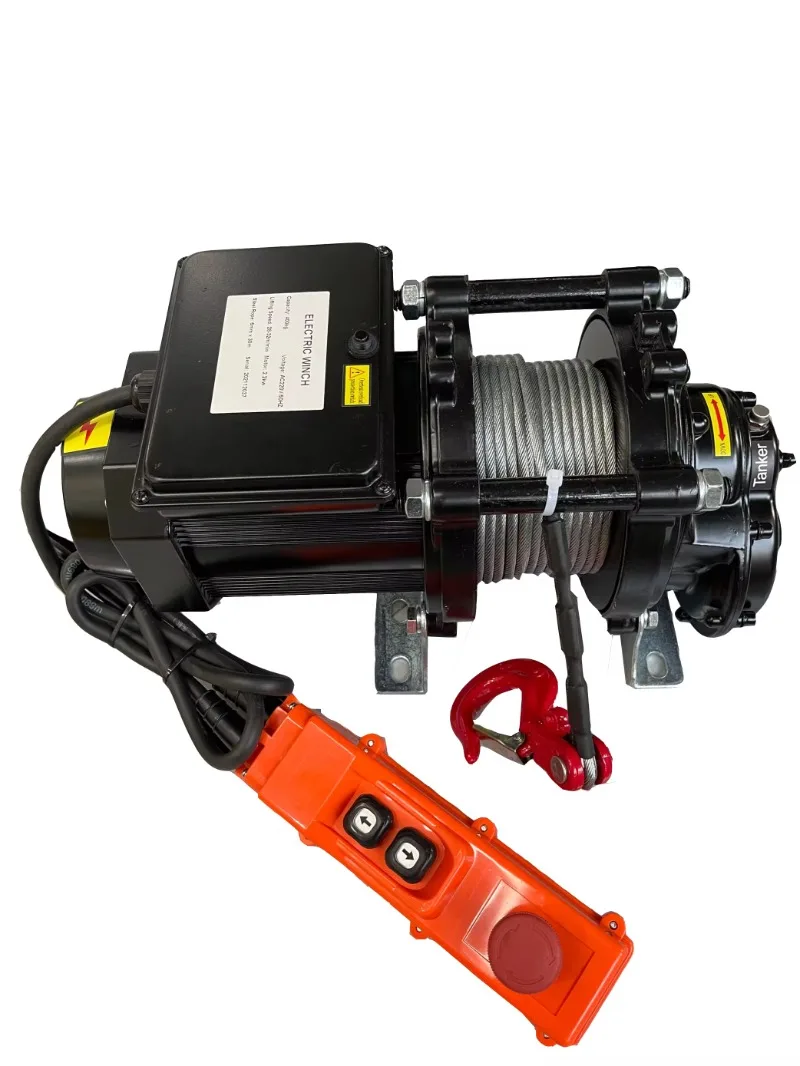 hot selling 500kg 1000kg single phase small mini electric hoist winch 220V