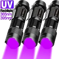 Minilinternas LED UV de 365/395nm, linterna ultravioleta con zoom, luz violeta, Detector de manchas de orina de mascotas, lámpara UV de caza de escorpiones