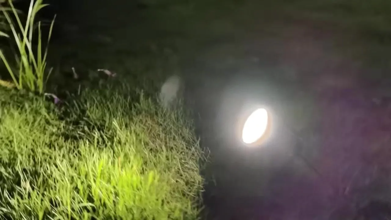 LED COB Garden Lighting 5W 7W 10W 15W Outdoor Spike Lawn Lamp Waterproof Lighting Garden Path Spotlights AC110V 220V DC12V 24V