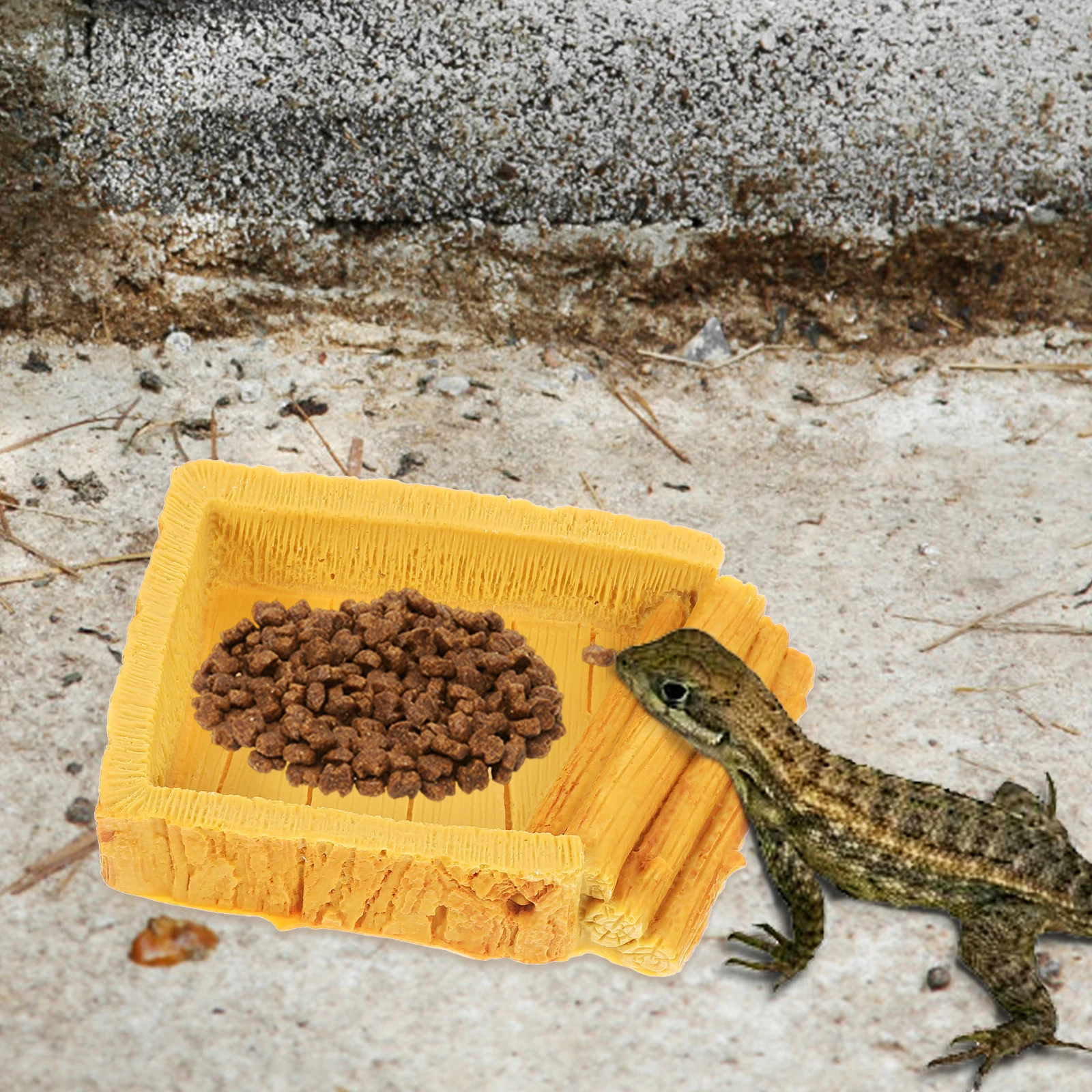 

Resin Food Lizard Water Dish Feeding Container Terrarium Decor Pet Feeder Basin Accessories Tortoise Habitat Supplies Reptile