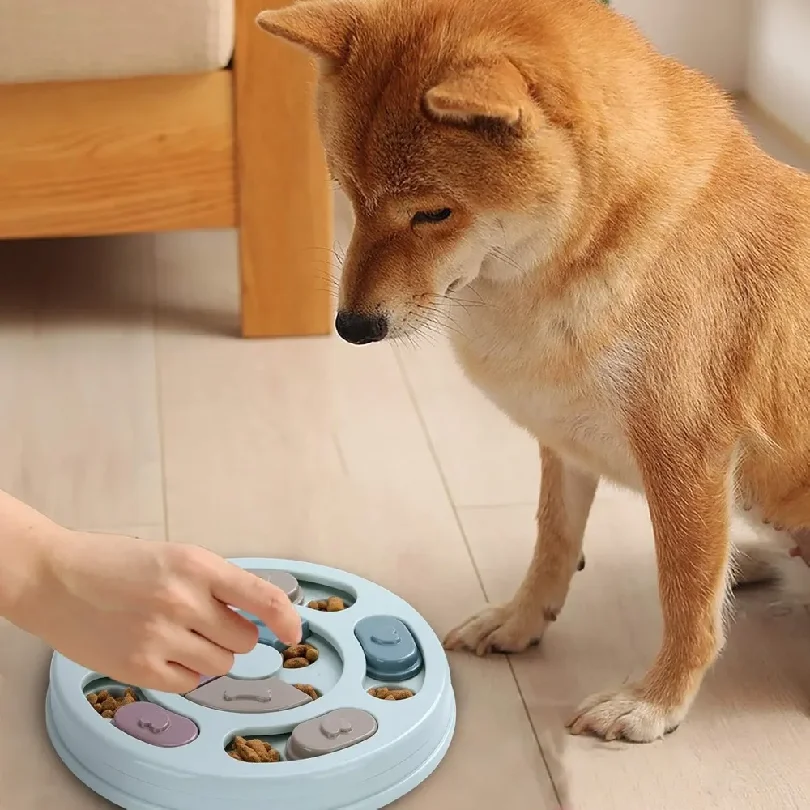 Interactive Dog IQ Puzzle 5
