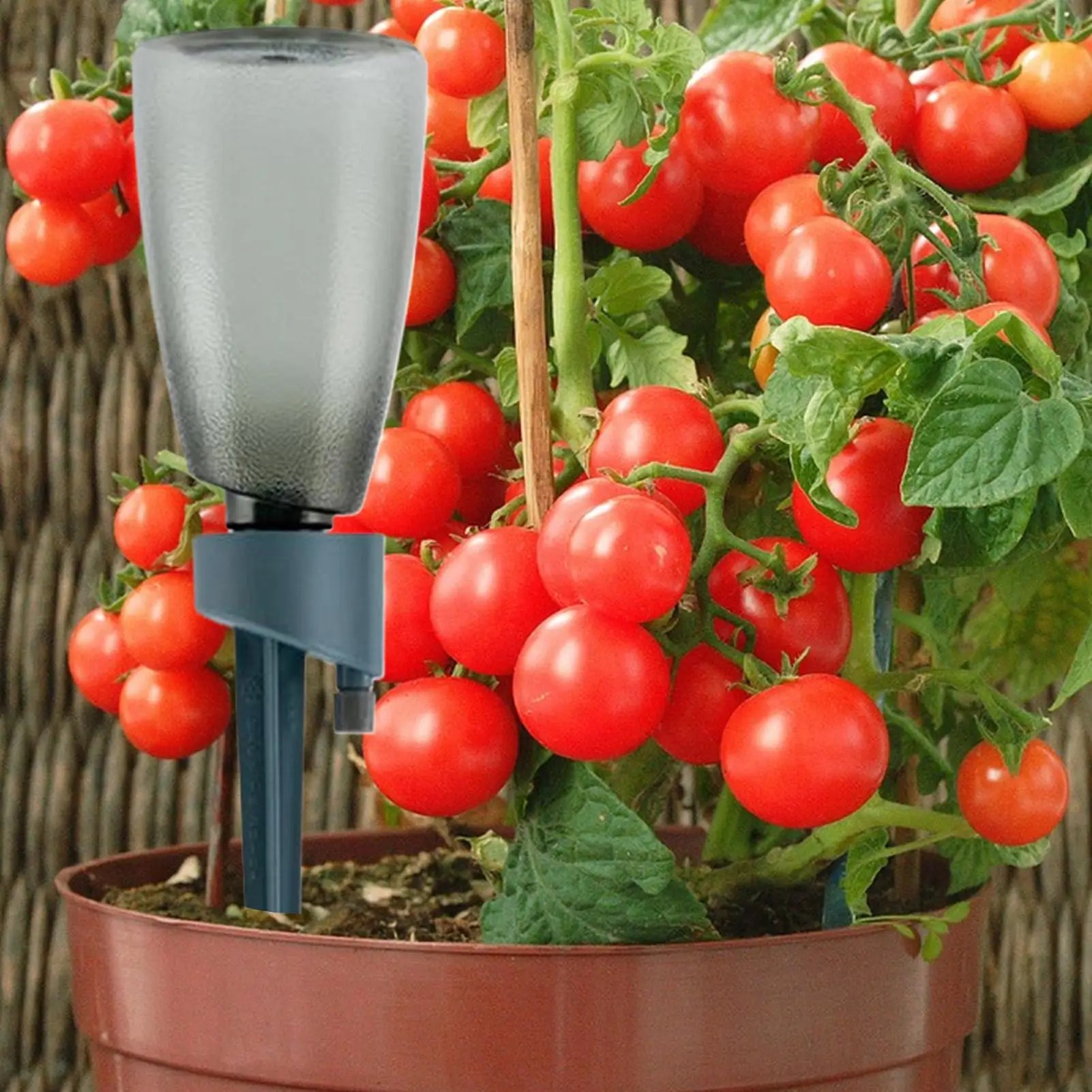 6 stücke Automatische Waterer Haushalt Blume Pflanze Selbst Bewässerung Gerät Automatische Tropf Bewässerung System für Indoor Outdoor Gartenarbeit – Detail 5