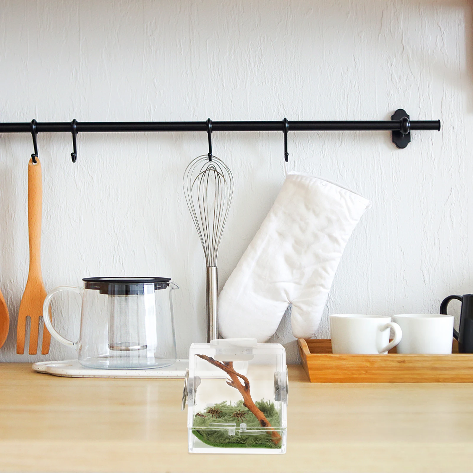 

Spider Feeding Box Clear Jumping Spider Cage High Quality Breeding Carrier Easy Clean Habitat House Breeding Carrier