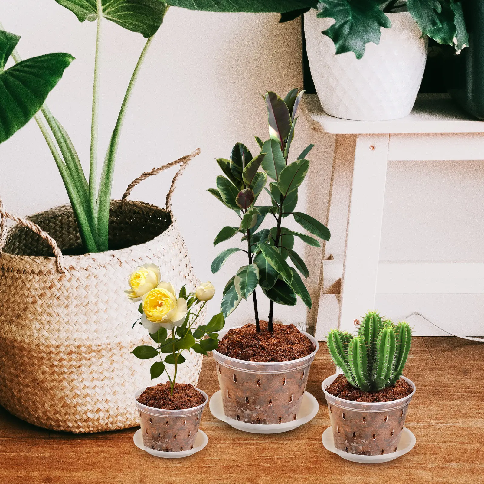3Pcs Clear Orchid Planter Pots Plastic Gardening Pots with Drainage Holes Saucers Nursery Flowerpots for Root Health