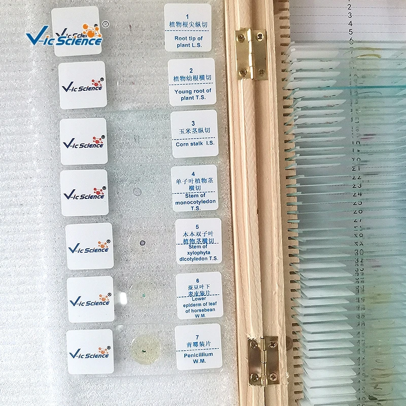 200pcs Different Items Human Pathology Prepared Slides Set