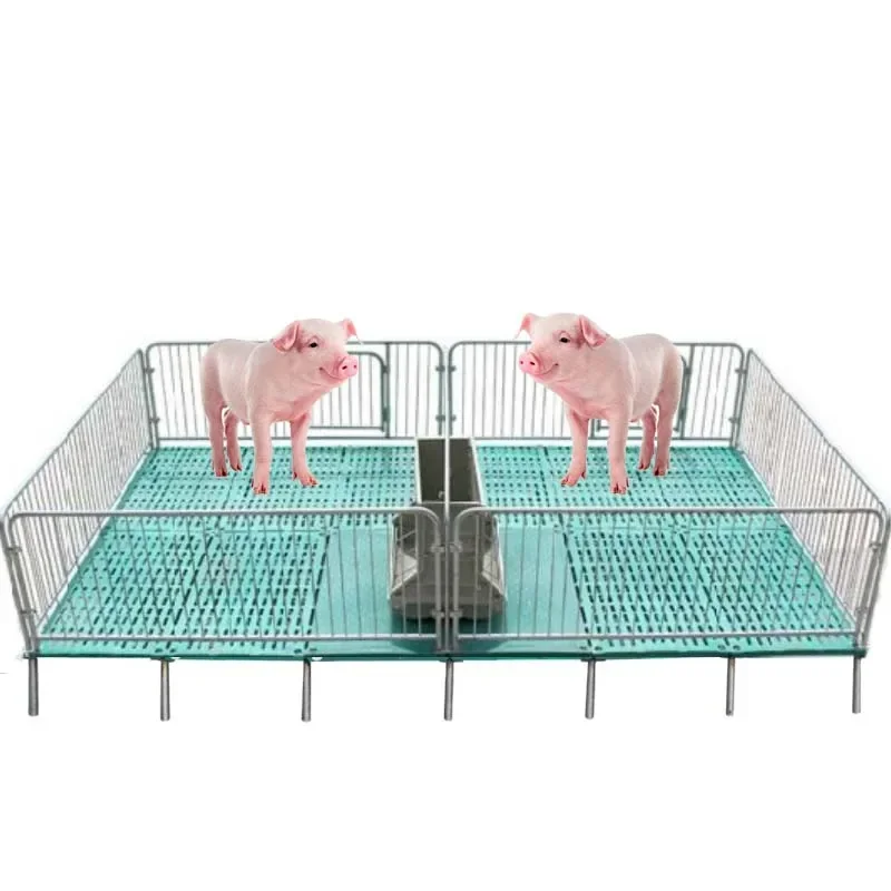 Great Poultry Cage Galvanized Weaning Crate Nursery Pen For Piglet And Weaning Crate