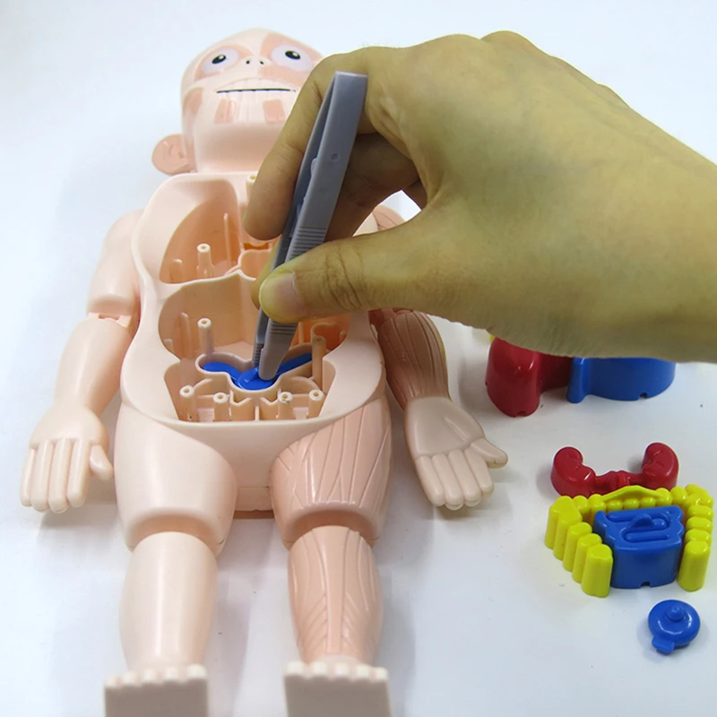 Órgãos humanos corpo visco modelo stem iluminação educacional brinquedo diy quebra-cabeças criança blocos de jogo cognição conjunto aprendizagem presente