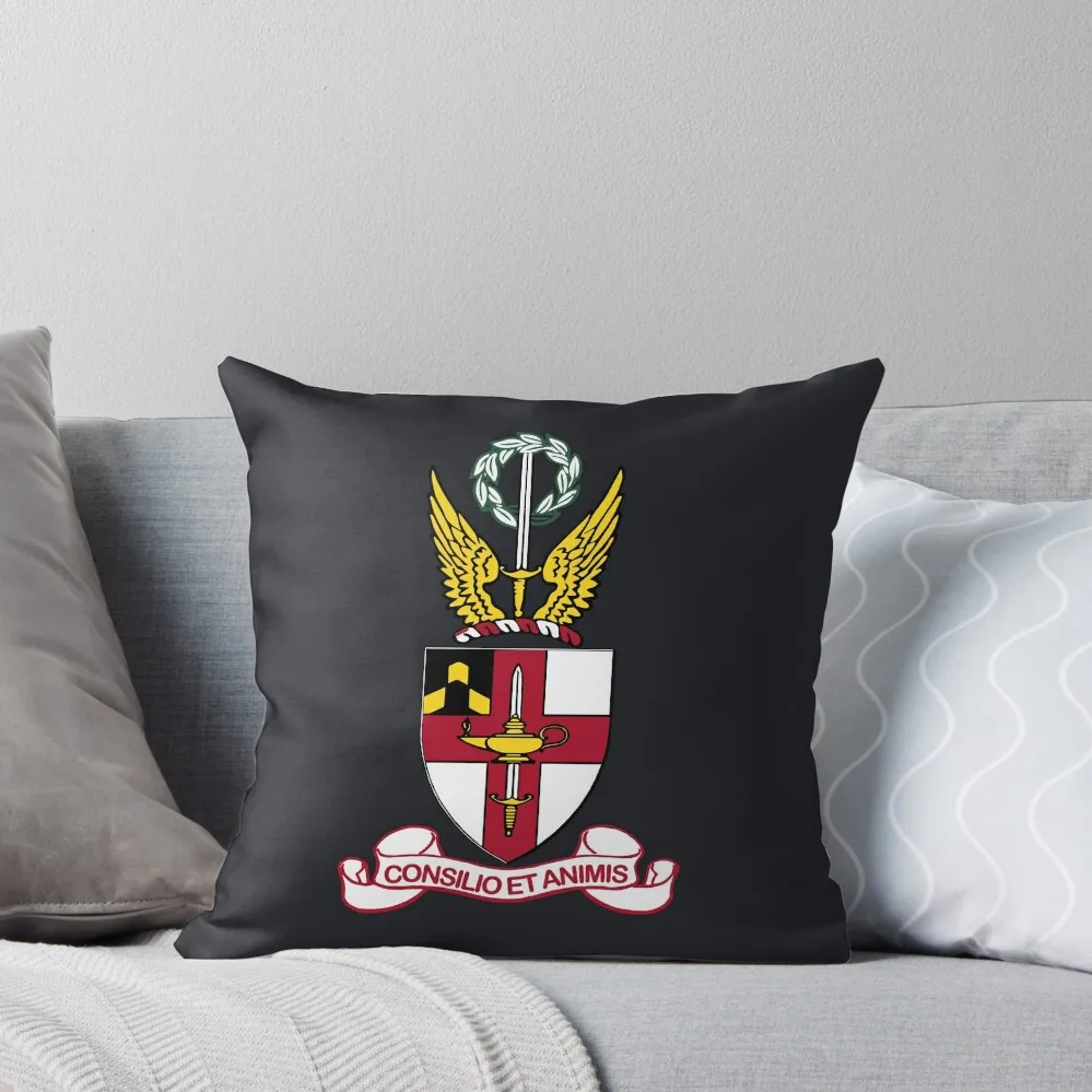 Virginia Military Institute - United States Throw Pillow ornamental pillows for living room Christmas Covers Pillow