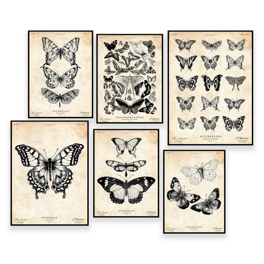 Butterflies art print, Insect art, Cabin decor, Vintage poster