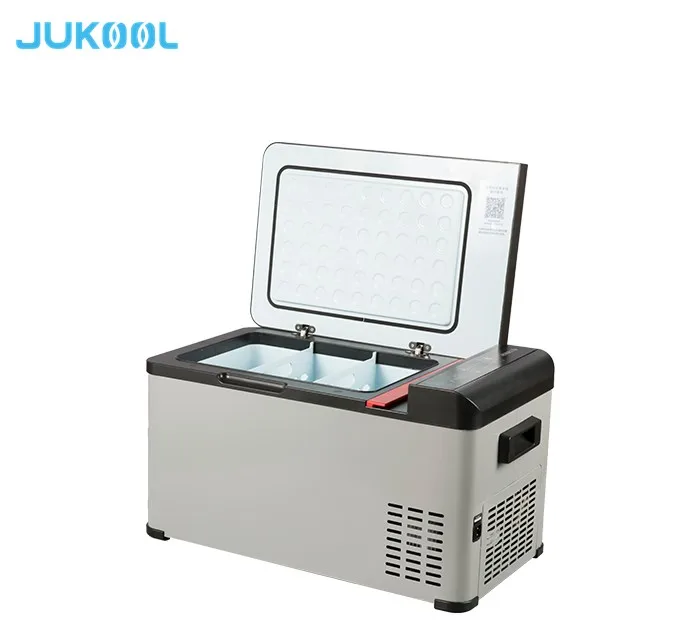 Fridge and Refrigerator In-car Refrigerator for Automobile 20l Portable Mini Car Refrigerator Camping Use