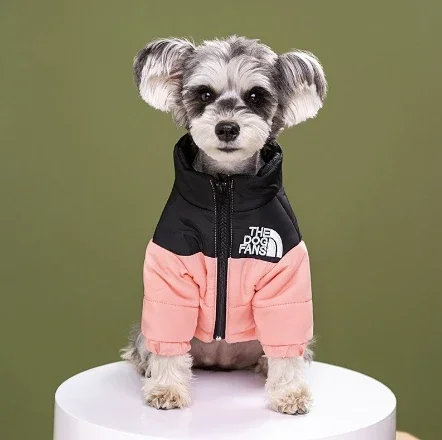 Spot Vestiti per animali domestici Marchio alla moda Ricamato Cane Autunno e inverno Vestiti di cotone Vestiti per animali Addensato Caldo Imbottiture Teddy Abbigliamento