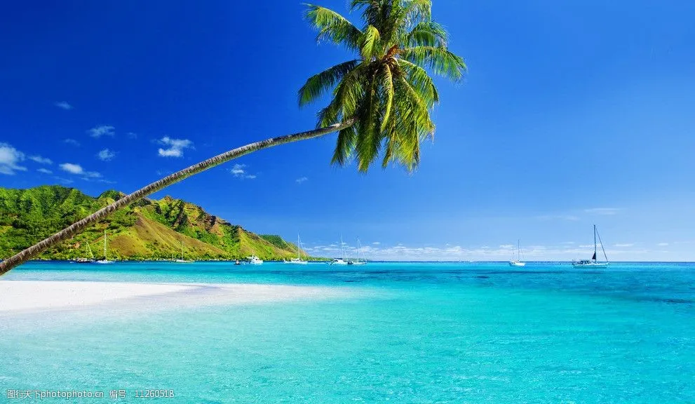 

Aluminum Alloy Car Tire Valve Stem Caps Tyre Rim Valve Nipple Covers Dustproof Waterproof For Automobiles Motorcycles Trucks