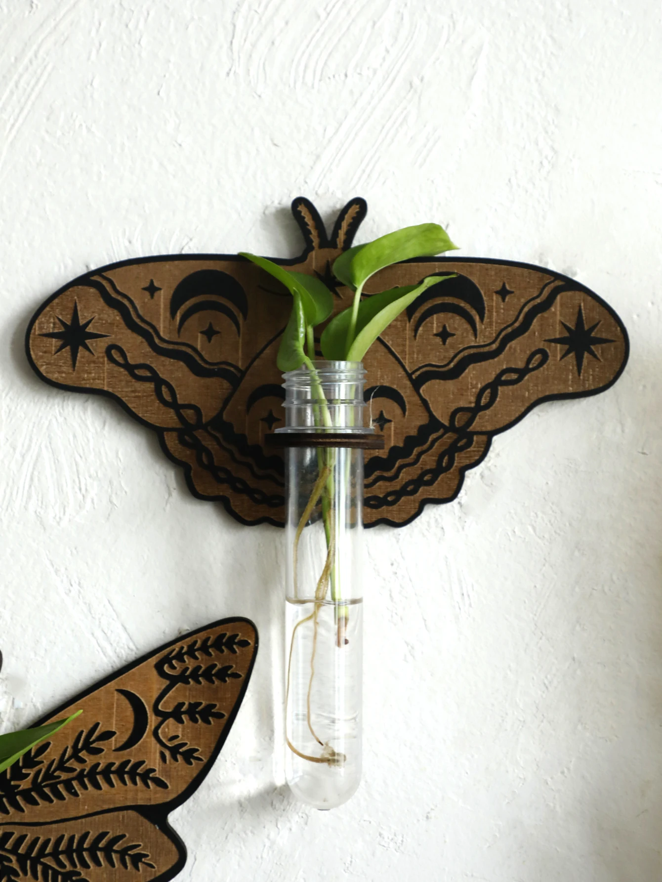 Butterfly Wall-Mounted Propagation Station，Wooden Hanging Plant Holder with Plastic Tubes for Indoor Plants, Hydroponic Planter