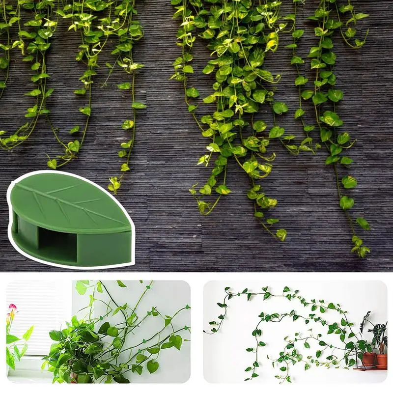 Plant Climbing Wall Fixture Clips Adhesive Plant Clips Pack Plant Support Clips Flowers And Vines Upright Growing Tool