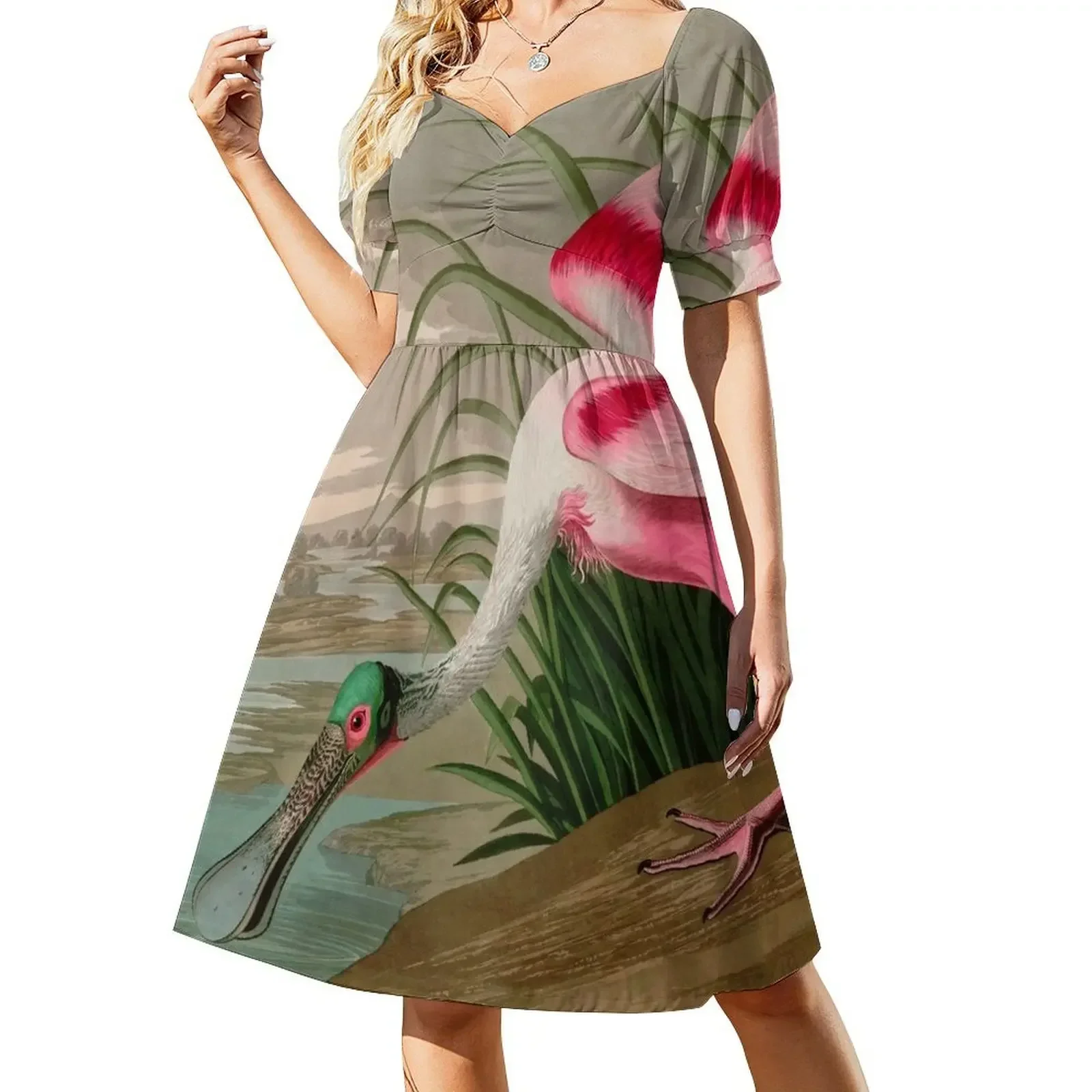 

Roseate Spoonbill Birds of America Audubon Illustration Bird Lovers Gift Sleeveless Dress elegant dresses plus sizes Dress