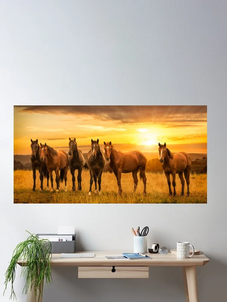 Herd of horses, sunset, beautiful horses Canvas POSTER ,Home Decor Wall art painting