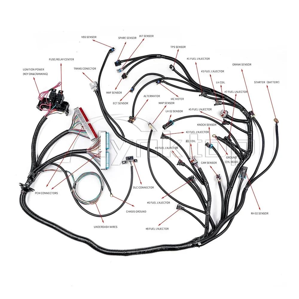 4L60E Complete Engine Standalone Wiring Harness W/EV1 Fuel Injector Connectors  fit 1997-2006 DBC LS1 4.8 5.3 6.0