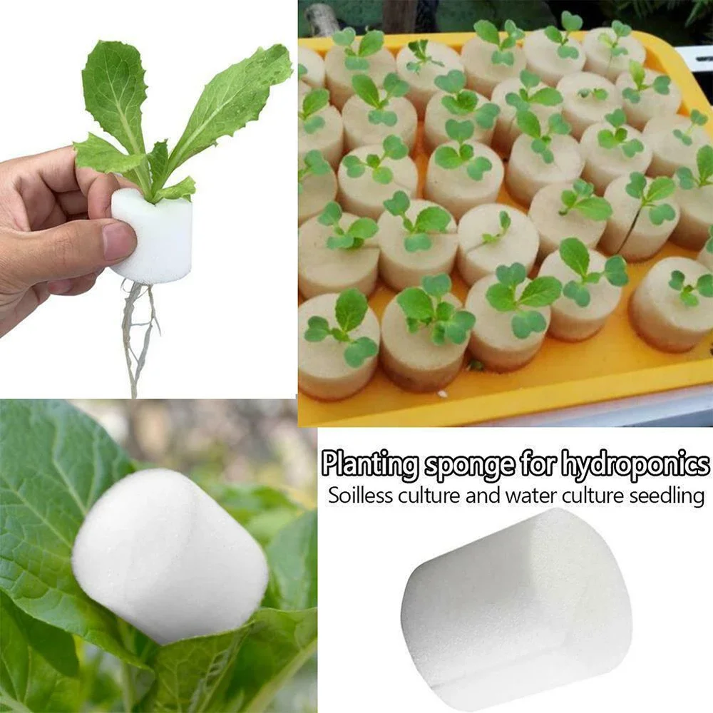 50pcs Plant Net Cup & 50PCS Cylinders Sponge For Soilless Mesh Plant Grow Pots Net Basket Holder Vegetable Nursery Cup