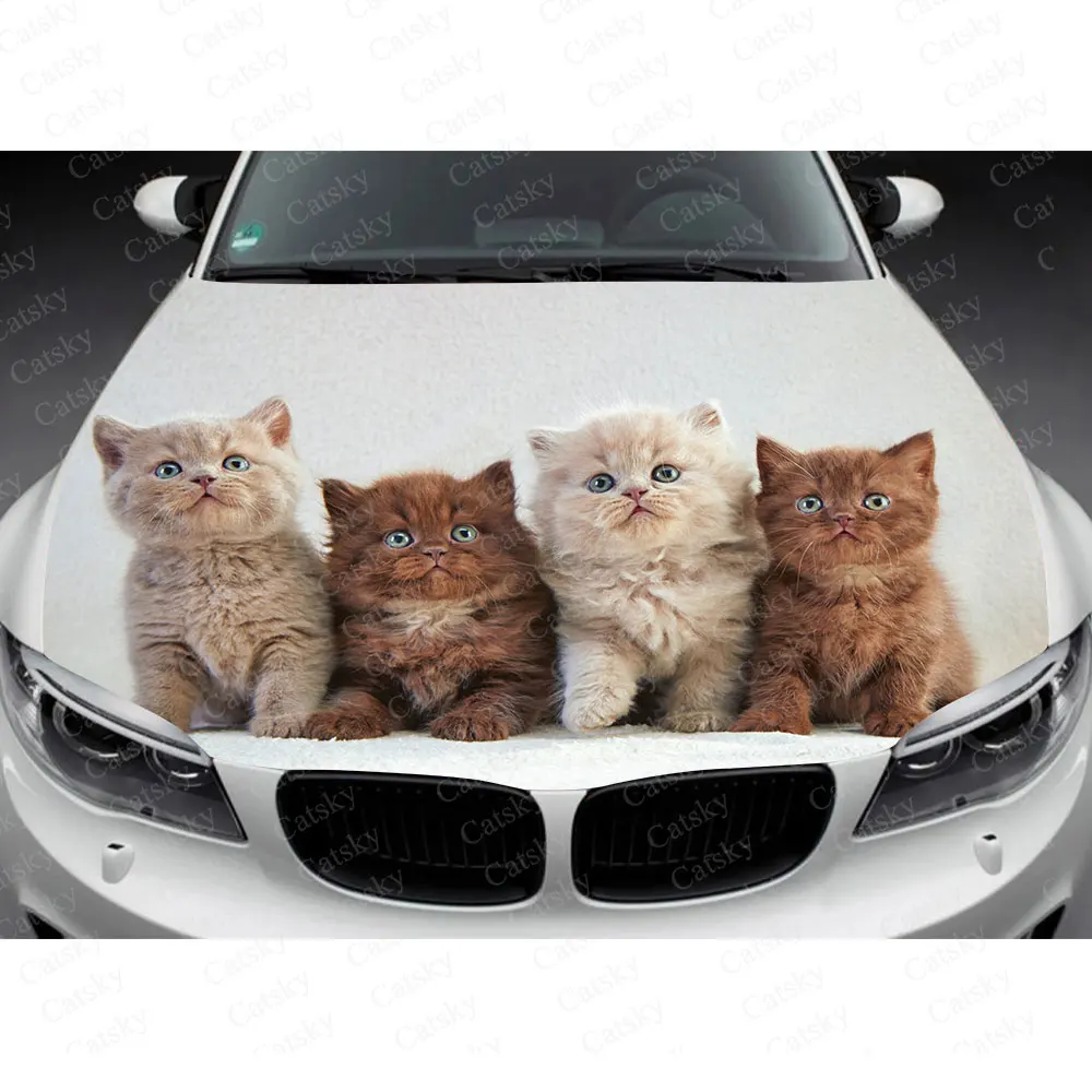 Animals Cute Cat Car Hood Wrap Decal Vinyl Sticker Full Color Graphic Car Sticker Custom Size and Image Fit Any Car