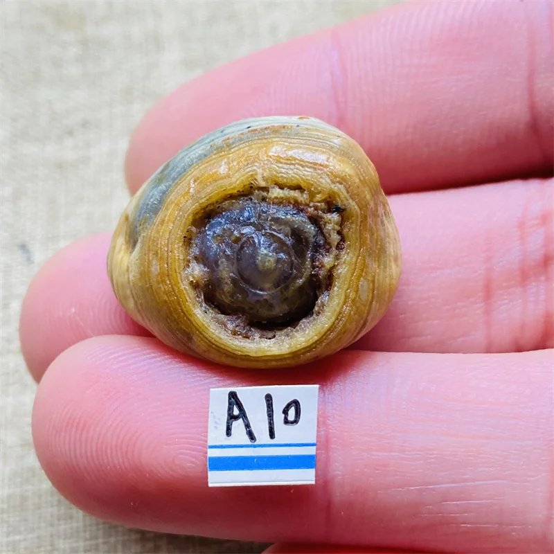 Natural Gobi Agate Energy Crystals And Stones Healing Decoration Maison Witchcraft Stons