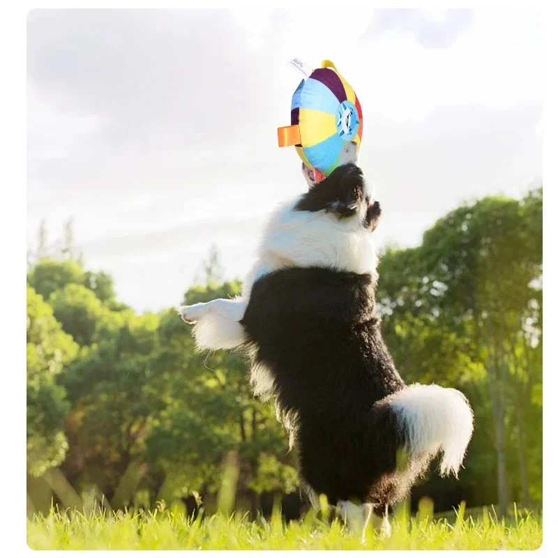 لعبة كرة الكلب التفاعلية الجديدة مع علامات التبويب المضغ لتدريب الجرو وكرة القدم مستلزمات الحيوانات الأليفة في الهواء الطلق ملحقات ممتعة