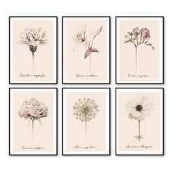Beige Dandelion Plant Flower Minimalism Poster Aesthetics Prints Wall Art Painting on Canvas Boho Gallery Living Room Home Decor